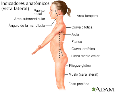 Vista lateral de puntos de referencia anatómicos