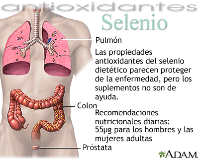 Selenio - antioxidante
