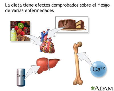 Dieta y prevención de enfermedades
